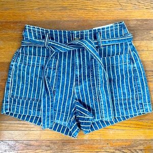 American Eagle Shorts NWT